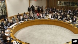 United Nations Security Council (file)