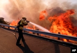 A firefighter battles a fire along the Ronald Reagan (118) Freeway in Simi Valley, California, Nov. 12, 2018.