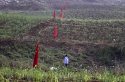 FILE - A woman walks past Chinese national flags at a crop field in Kokang, near Myanmar's border with China, March 24, 2015.