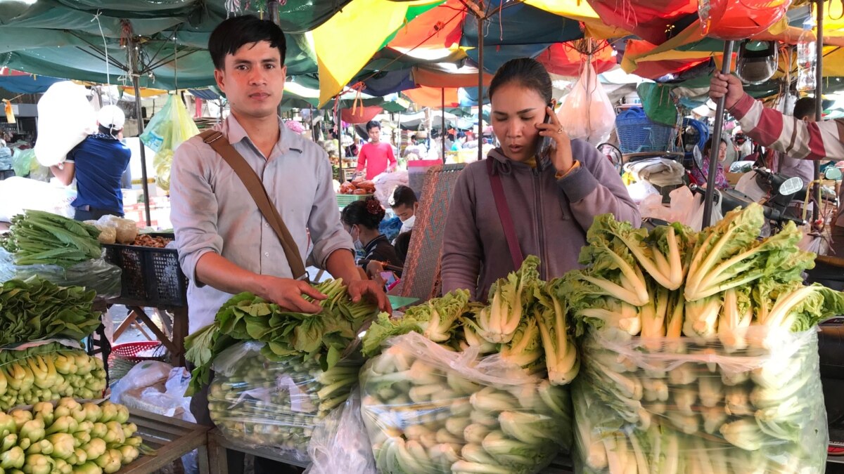 Vegetable Growers Also Raise Concerns Over Falling Market Prices