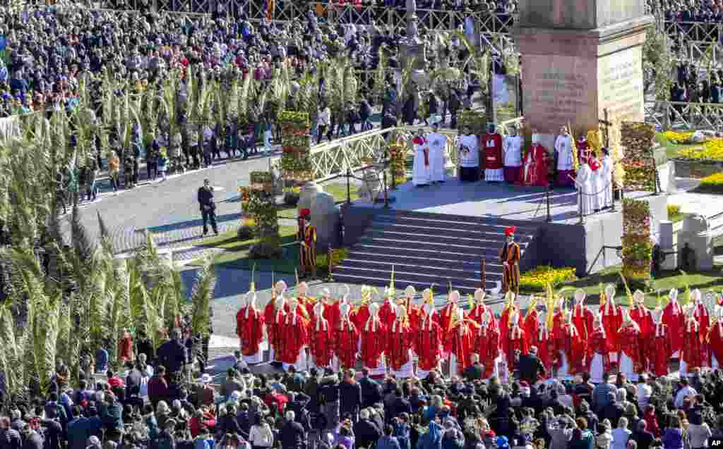 Pope Francis celebrates Palm Sunday Mass in St. Peter's Square at the Vatican.