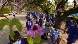 Some Classes Return in Zimbabwe