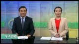 VOA卫视(2017年1月3日 美国观察)