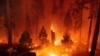 آتش‌سوزی جنگلی کلدور در پارک جنگلی ملی الدورادو، کالیفرنیا - ۱۰ شهریور ۱۴۰۰
