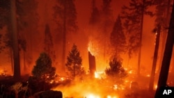 آتش‌سوزی جنگلی کلدور در پارک جنگلی ملی الدورادو، کالیفرنیا - ۱۰ شهریور ۱۴۰۰