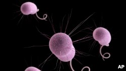 Antibiotic Resistance, a Growing Global Health Crisis