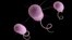 FILE- This undated file illustration made available by the Centers for Disease Control and Prevention in Atlanta depicts Pseudomonas aeruginosa bacteria, one of the germs that can evolve to resist antibiotics. "Nightmare bacteria" with unusual resistance to antibiotics of last resort were found more than 200 times in the United States last year in a first-of-a-kind hunt to see how much of a threat these rare cases are becoming, health officials said Tuesday, April 3, 2018.