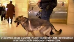 Собаки охраняют Нью-Йорк