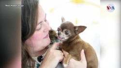 Cultura: Cenizas de seres queridos en diamantes