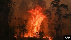 Api kebakaran lahan di Bobin, 350km utara Sydney, 9 November 2019. 