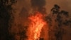 FILE - A fire rages in Bobin, 350km north of Sydney on November 9, 2019, as firefighters try to contain dozens of out-of-control blazes that are raging in the state of New South Wales. 