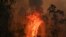 FILE - A fire rages in Bobin, 350km north of Sydney on November 9, 2019, as firefighters try to contain dozens of out-of-control blazes that are raging in the state of New South Wales. 