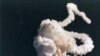 Space Shuttle Challenger Loss Still Felt, 25 Years Later