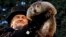 La marmota Punxsutawney Phil predice seis semanas más de invierno en Norte América.