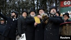 Los miembros de Groundhog Club Inner Circle se preparan para entregar el pronóstico de Punxsutawney Phil a la multitud en el 133º Día de la Marmota en Punxsutawney, Pennsylvania, EE. UU.