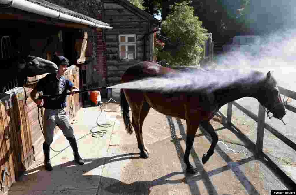 영국 옥스포드사이어(Oxfordshire)의 에스톤 로완트(Aston Rowant)에 있는 마구간에서 연습을 마친 경주마의 더위를 식혀주려고 물을 뿌리고 있다.