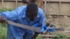 Dosso Abou clears brush to support himself, his wife and their five children, Bouake, Ivory Coast, May 4, 2013. (R. Corey-Boulet/VOA)