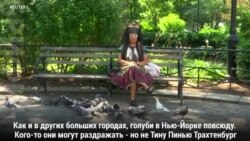 Мама Голубь и ее птицы в Нью-Йорке