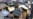 16x9 Image