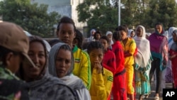 FILE - Voters queue early in the morning to cast their votes in Ethiopia's general election, in Addis Ababa, Ethiopia, May 24, 2015.