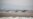 US, S. Korea Set Delayed Military Drills