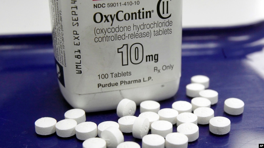 រូបភាពឯកសារ៖ ថ្នាំ OxyContin ត្រូវ​បាន​ថត​នៅ​ឧសថដ្ឋានក្នុង​ទីក្រុង​ Montpelier រដ្ឋ Vermont។