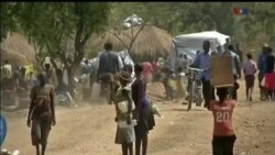 اخبار شامگاهی