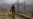 Pakistan Kills 12 ‘Terrorists’ Tied to Afghanistan-Based Group