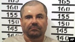 Mensajes de texto publicados por el diario mexicano El Milenio y verificados por la policía mexicana, entre "El Chapo" y la actriz Kate del Castillo, muestran que el narcotraficante estaba mucho más interesado en conocer a Del Castillo que en la presunta película sobre su vida que estaría tratando de negociar.