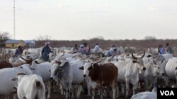 La economía uruguaya, que cerrará el año con 8% de crecimiento, basa su desarrollo en las exportaciones del sector rural.