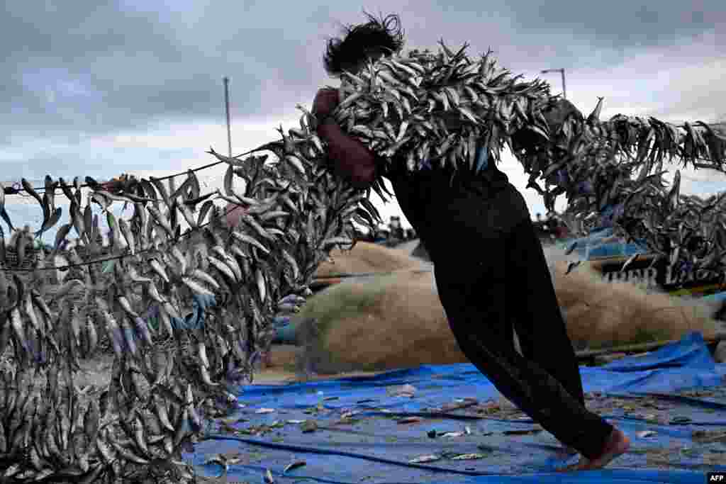 Fishermen unload their catch from a traditional boat at Kedonganan beach, Badung regency on the resort island of Bali, Indonesia.