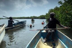 Fatou Jatta, right, holds her paddle as she works with her colleagues to catch fish and crabs from the mangrove in the estuary waters of the Gambia river in Serrekunda, Gambia, Sept. 25, 2021.