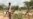 Northern Kenya’s Drought-hit Herders Pin Hopes on Desert Farming