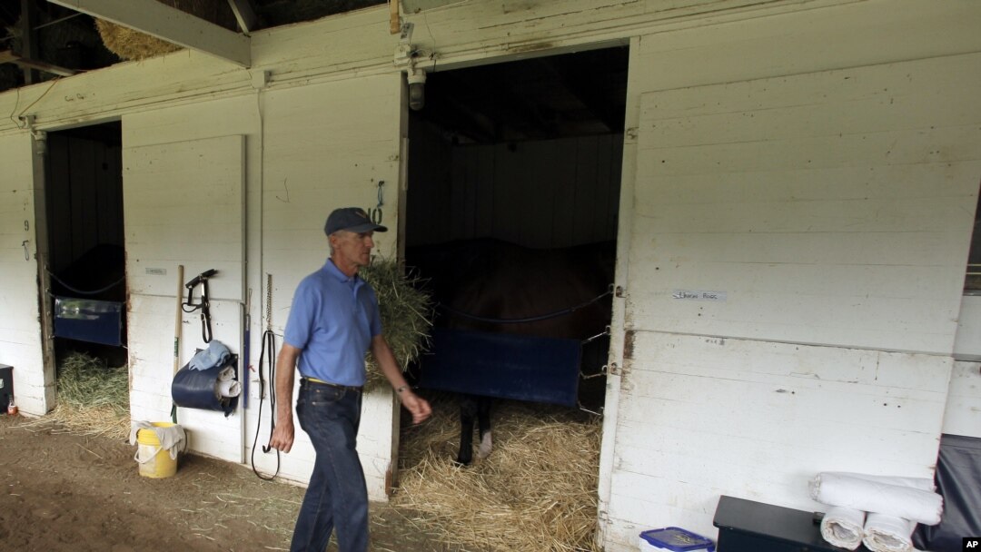 El entrenador Michael Matz regresa a Churchill Downs con Union Rags, un caballo muy parecido a Barbaro.