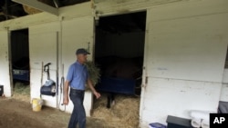 El entrenador Michael Matz regresa a Churchill Downs con Union Rags, un caballo muy parecido a Barbaro.