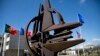 NATO samit: Da li će saveznici pristati na ubrzano pristupanje Ukrajine?