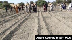 Site amenagé du village Doulboulboul, canton Ngarangou en attente des forages d'eau pour le démarrage des travaux, le 14 novembre 2017. (VOA/André Kodmadjingar)