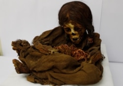 A 500-year-old mummy of an Incan girl sits inside a vault at the National Museum of Archaeology in La Paz, Bolivia, Aug. 15, 2019.