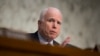 На слуханнях у Сенаті Джон Маккейн знову підняв питання надання Україні зброї