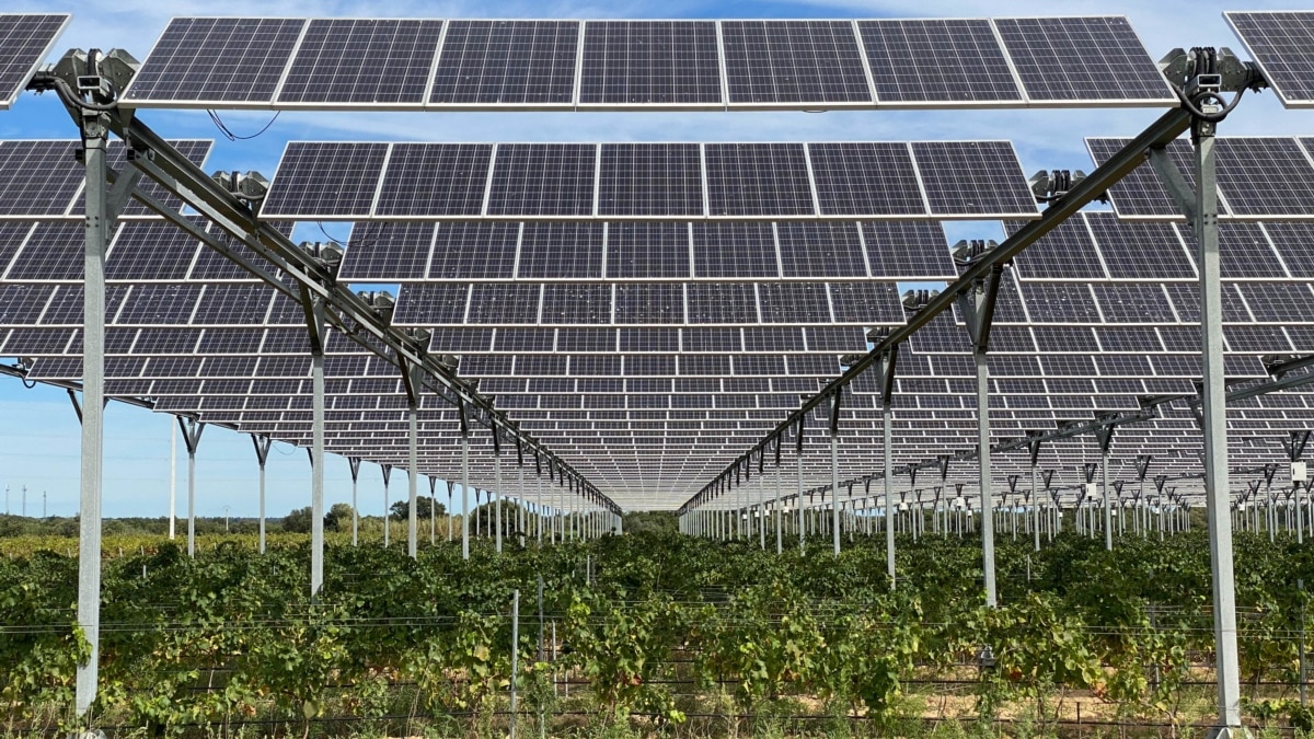 Photo of Les panneaux solaires aident le vigneron français à faire face au changement climatique