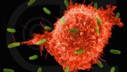 ابداع شیوه جدید تشخیص بیماری سرطان با آزمایش خون
