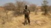 US Military Trains African Armies Ahead of Boko Haram Campaign