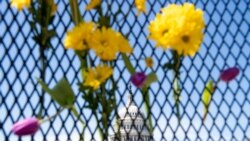 Piden al Congreso de EE.UU. actuar con urgencia tras ataque mortal