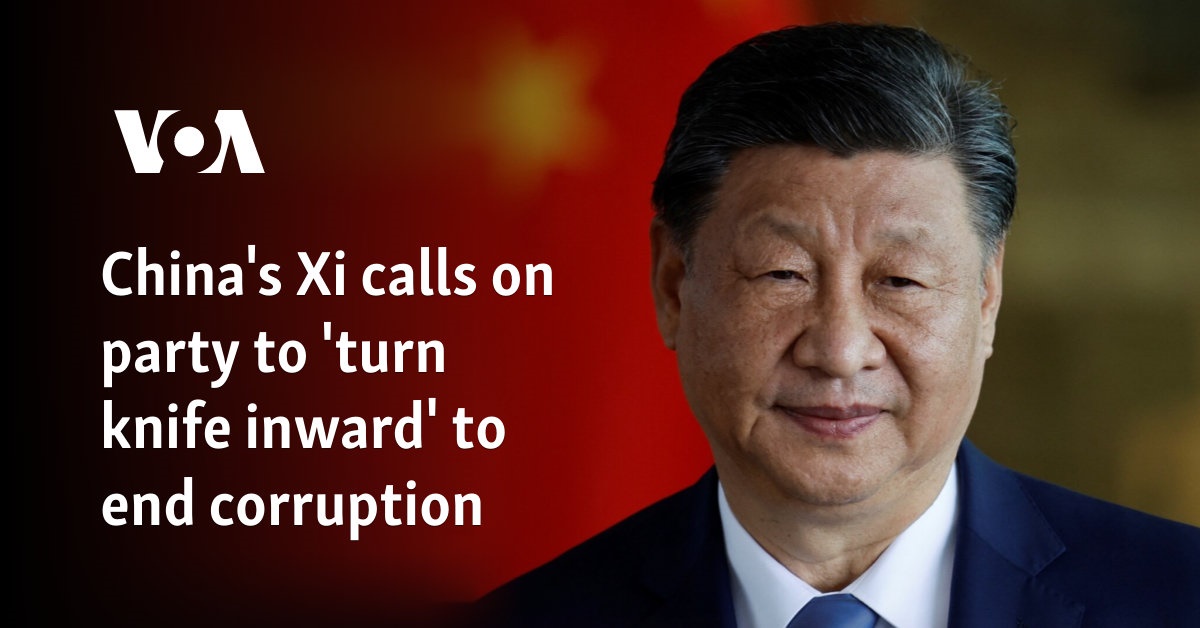 chinese corruption net worth - Ilustrasi 3