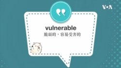 学个词 --vulnerable