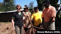 La directrice générale de Harvest Plus, Beverly Postma, lors de sa visite dans la périphérie de Bukavu en RDC, le 16 décembre 2016. (VOA/Ernest Muhero)