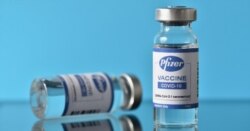 Vaksin COVID-19 produksi Pfizer. (Foto: ilustrasi).