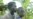 AIDS Orphans Face Psychological Challenges