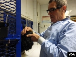 Veterinarian Dr. Jean-Yves Routier examines a dog at his clinic in Noisy le Grand outside Paris, Feb. 12, 2014. (Lisa Bryant/VOA)