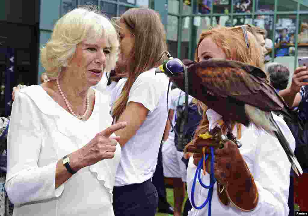 Britain&#39;s Camilla, Duchess of Cornwall, speaks with Imogen Davis, owner of Rufus the hawk, during her visit to the Wimbledon Tennis Championships in London, July 2, 2015.